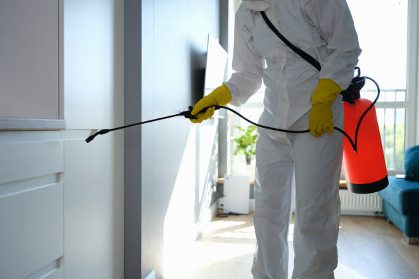 Best Toxic Mold Removal  in Monmouth, IL